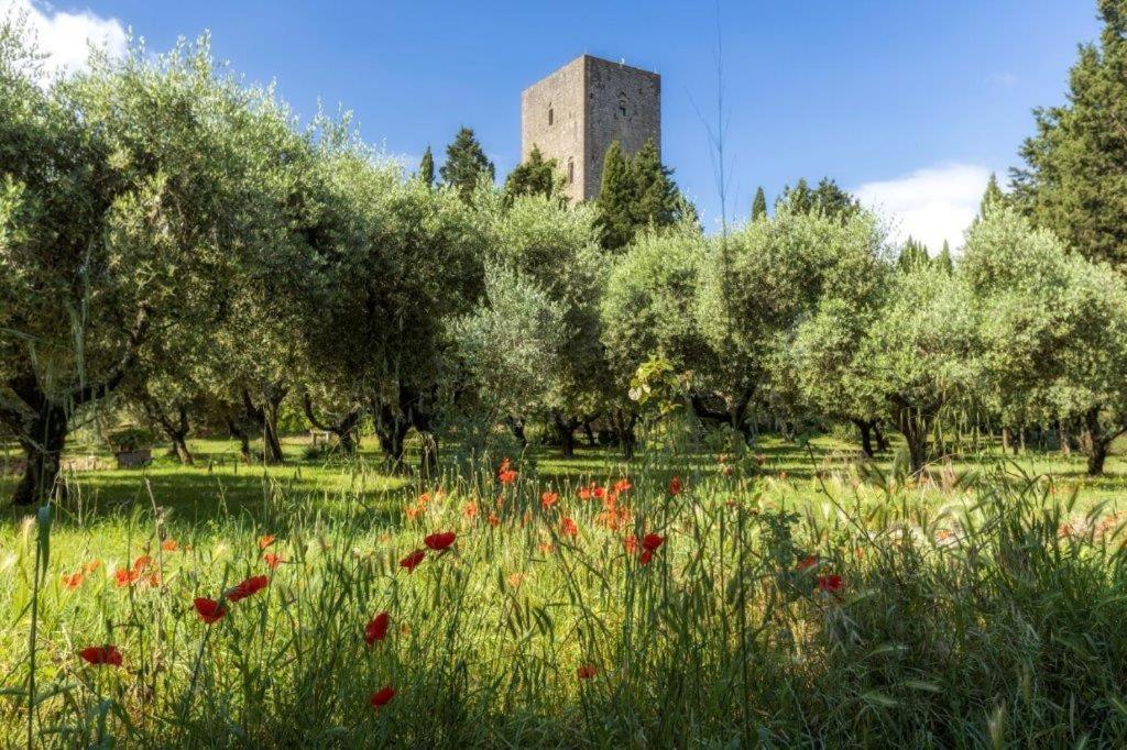 Torre Dei Belforti Montecatini Val di Cecina Ngoại thất bức ảnh