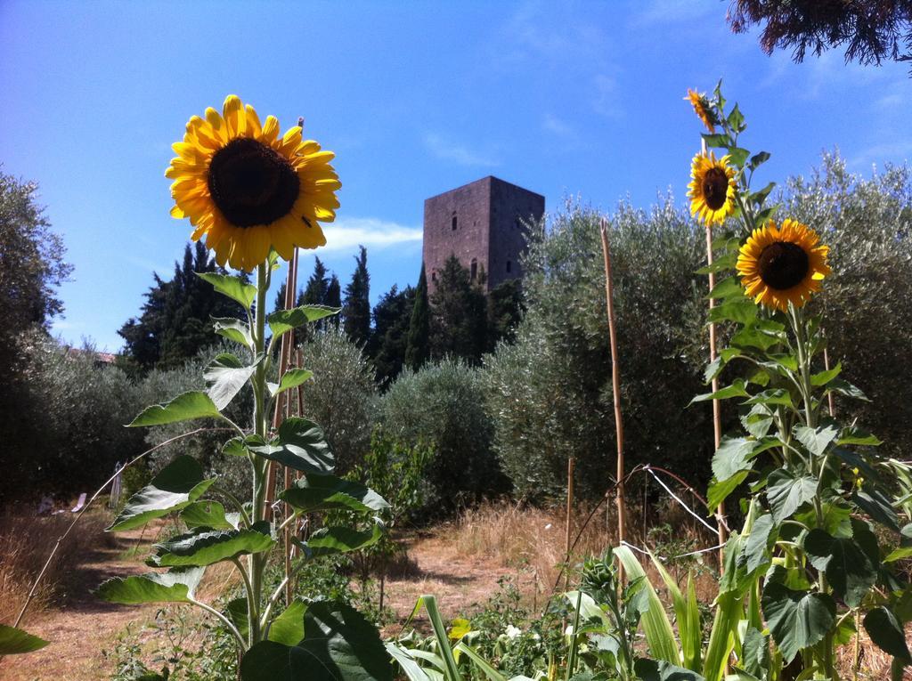Torre Dei Belforti Montecatini Val di Cecina Ngoại thất bức ảnh